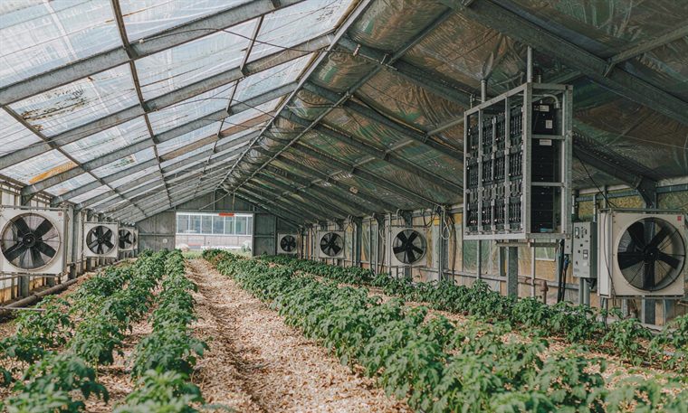 Farm, ranch & greenhouse — Agriculture & remote areas
